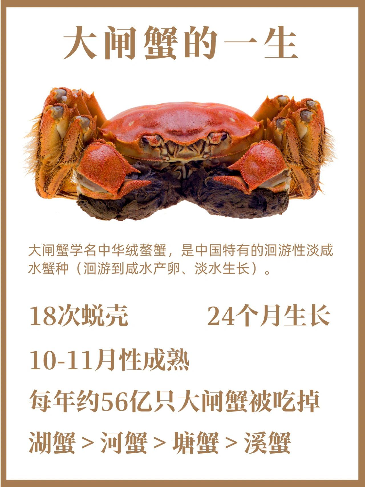 AI造假“死螃蟹”诈骗商家195元退款，“顾客”被行拘8日，案件细节曝光：死蟹公母数明显不对，甚至出现5只小腿的蟹