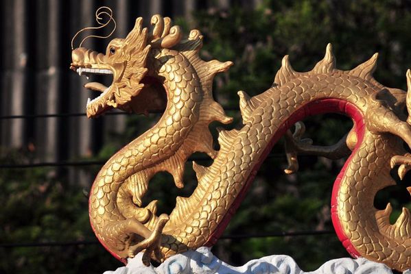 海王生物12月5日龙虎榜数据