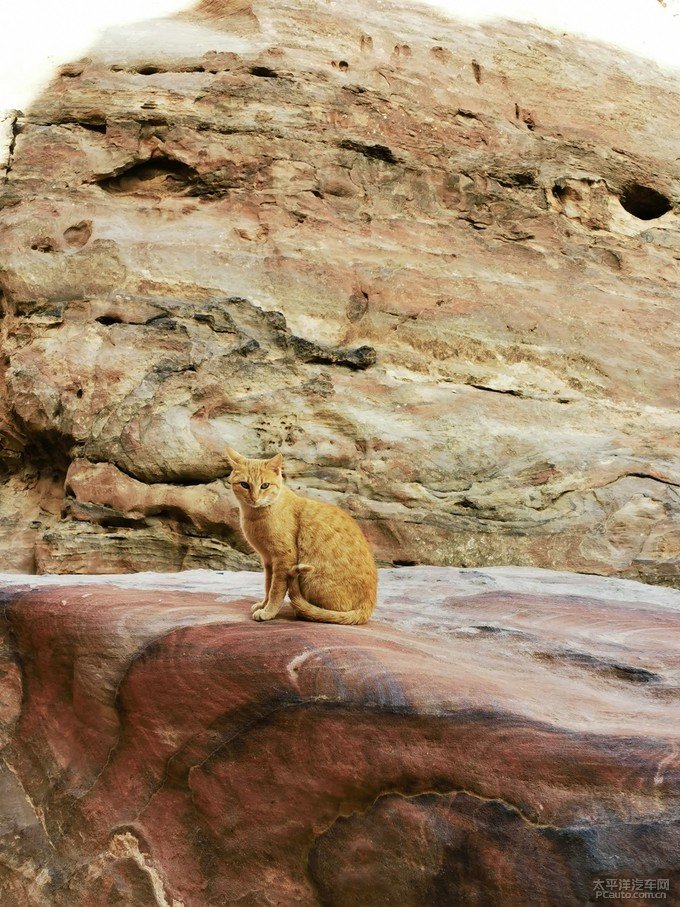 在沙漠中拍“大海”,导演吴双的“西天取经”路