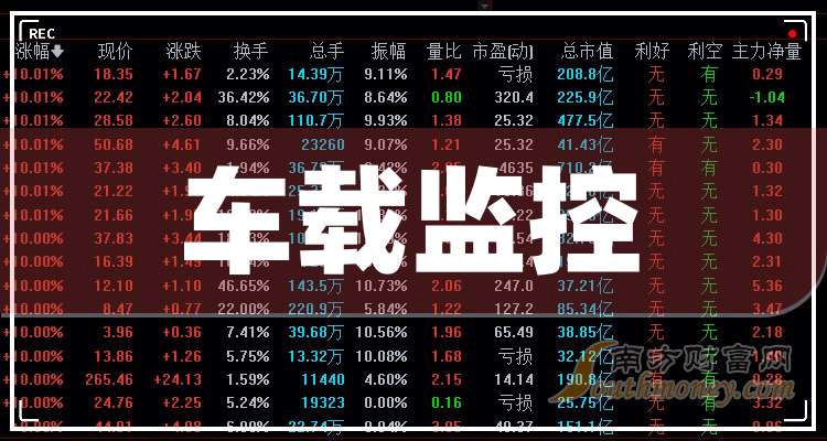 人保服务 ,人保车险_2025中国车载监控行业：不是“行车记录仪Plus”，而是“车轮上的数据入口”