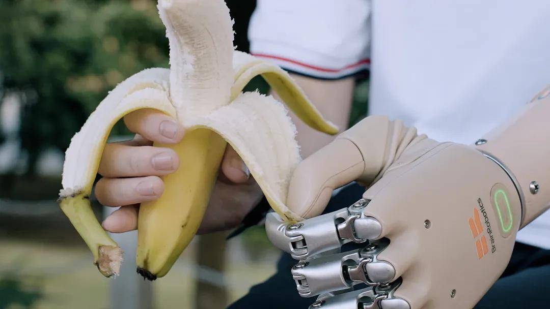 AI助仿生手“不费脑”完成自然抓握