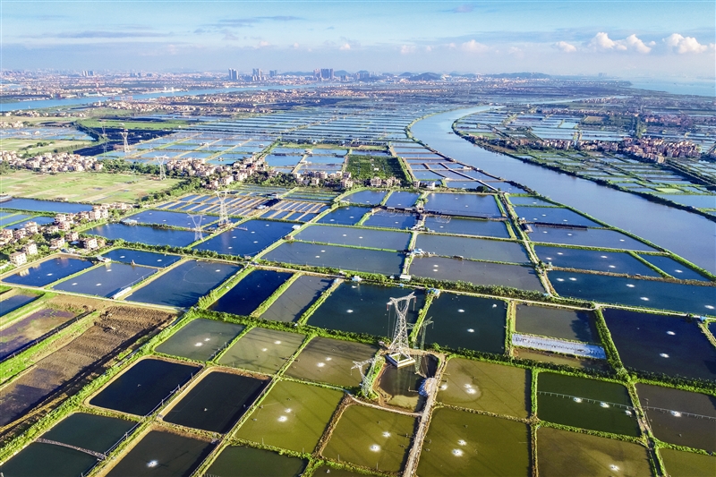 海南“十五五”规划建议：大力发展现代渔业产业园和深远海养殖 把渔业打造成农业经济新增长极