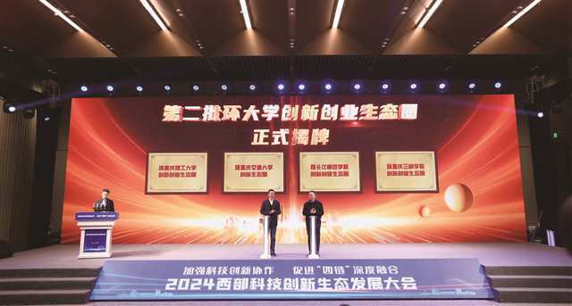 派安盈战略升级：以生态共建加速中国品牌“走进去”