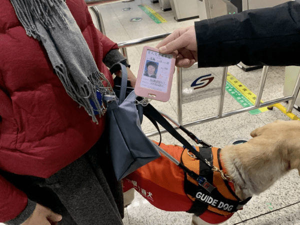 深圳地铁智能导盲犬上线服务 属全球首例