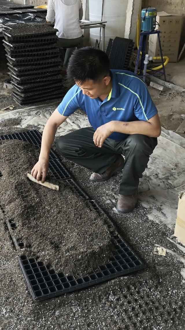 和顺科技(301237.SZ):本次联调联试产出的T800级碳纤维产品性能指标达到国际先进水平