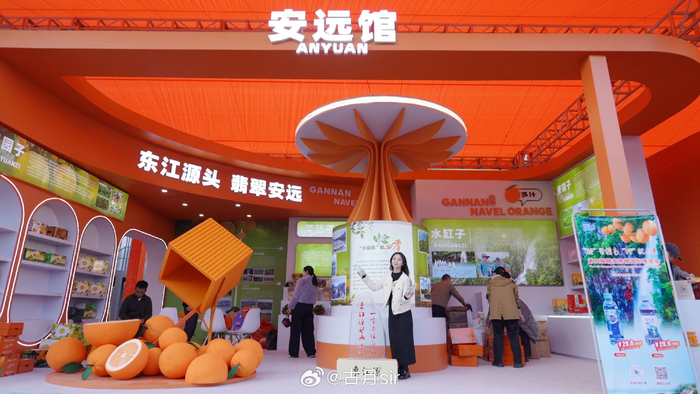 江西安远构建多元销售体系 助推脐橙香飘海内外