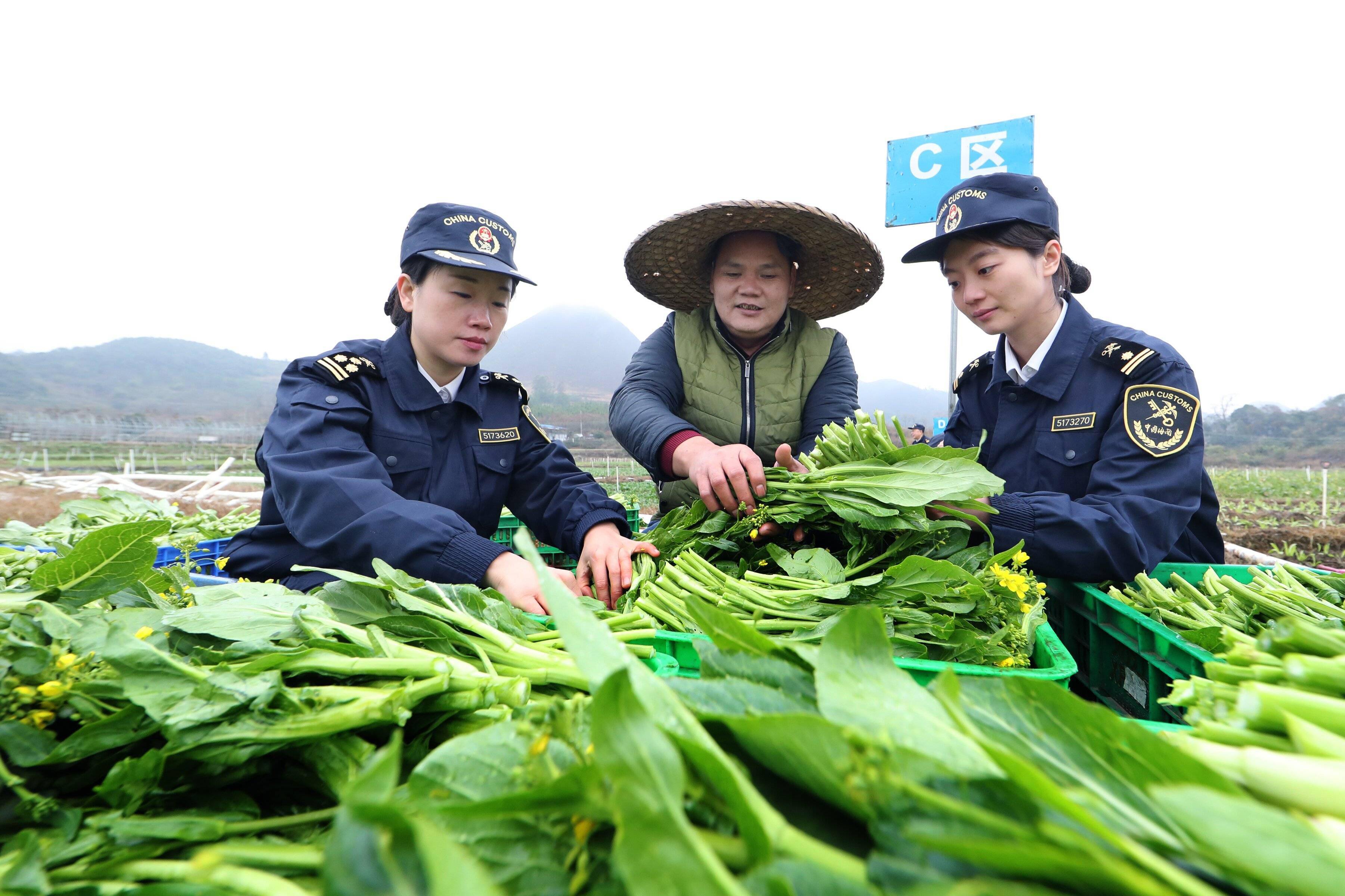 前11月广州海关检疫监管供澳门农食产品1.8万批次