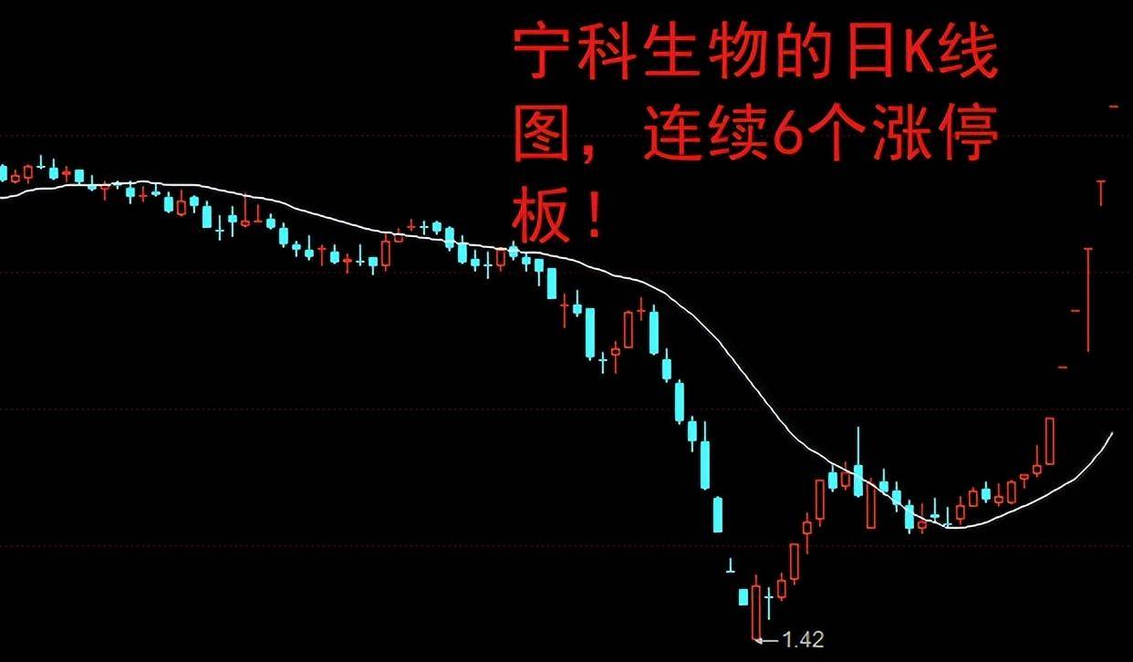 百大集团连收6个涨停板
