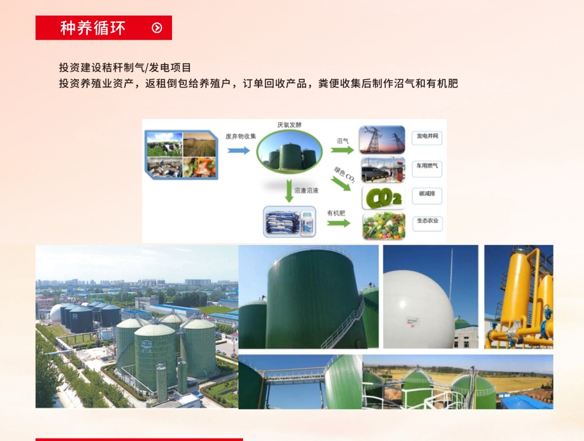 崧盛股份:植物照明LED驱动电源可应用于高价值作物种植