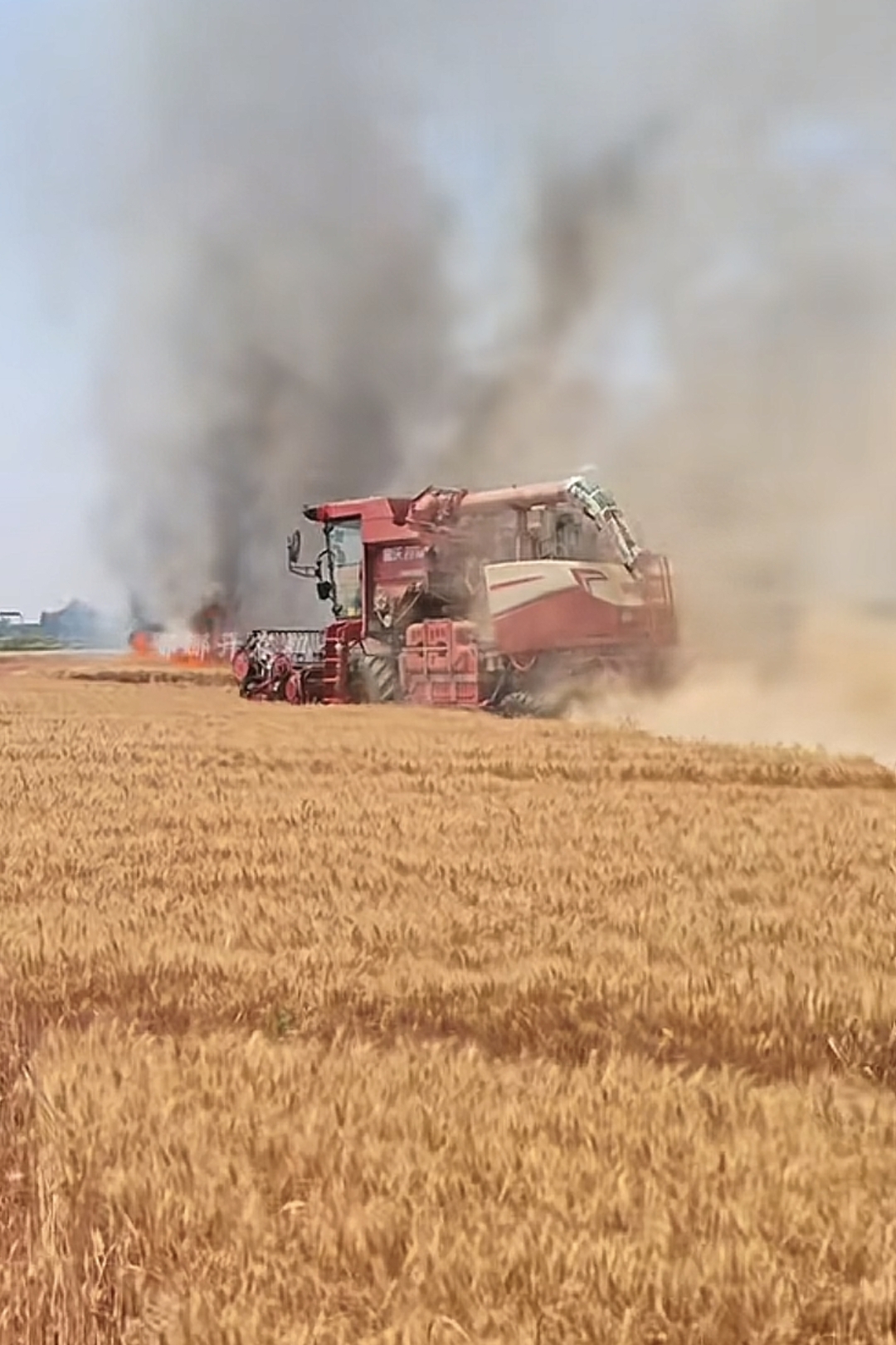 (走进中国乡村)共享农机开进“中国蔗海” 机械化跑出加速度