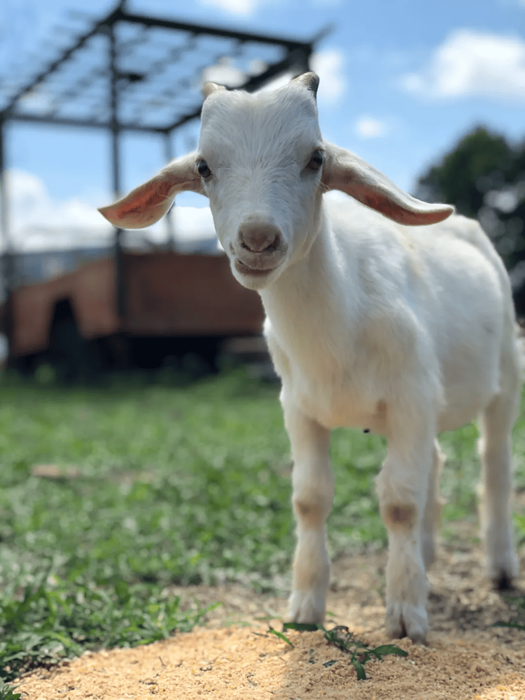 富邦科技：推进“天生旦”百万亩科技助农示范项目落地