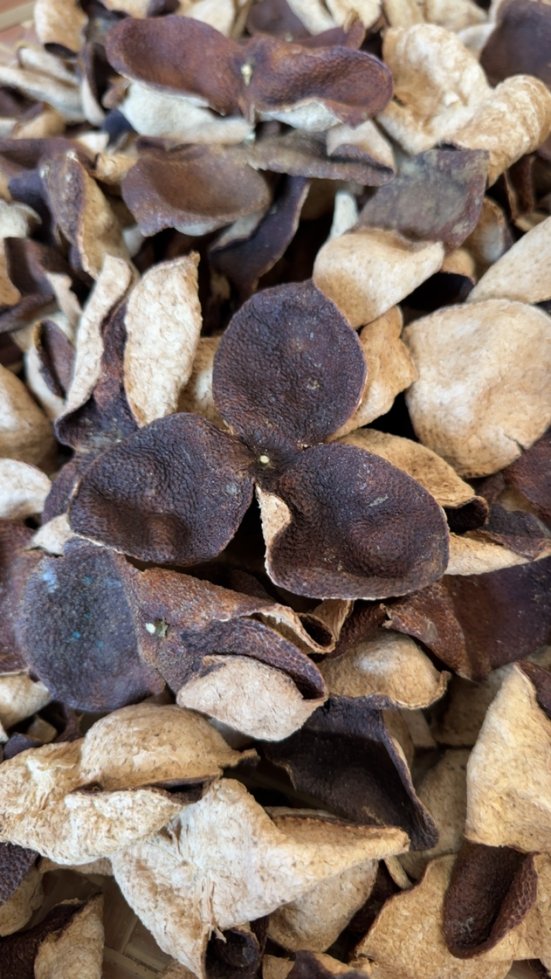 江门市新会区通报“陈皮产地造假等问题”：将依法从严从快对6家涉事企业作出处理