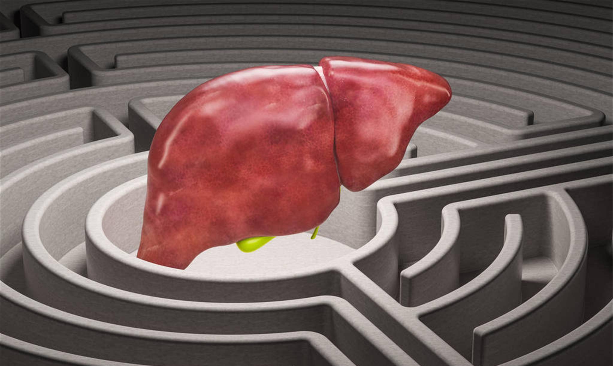 新研究：过量摄入山梨糖醇或致肝脏受损