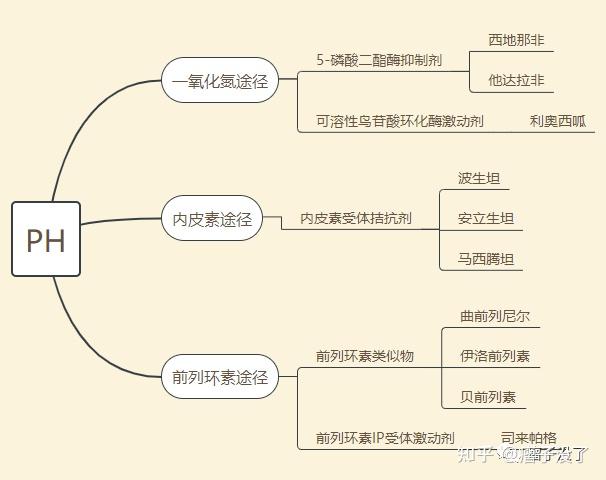 默沙东：动脉型肺动脉高压（PAH）创新药物sotatercept在北京获批临时进口