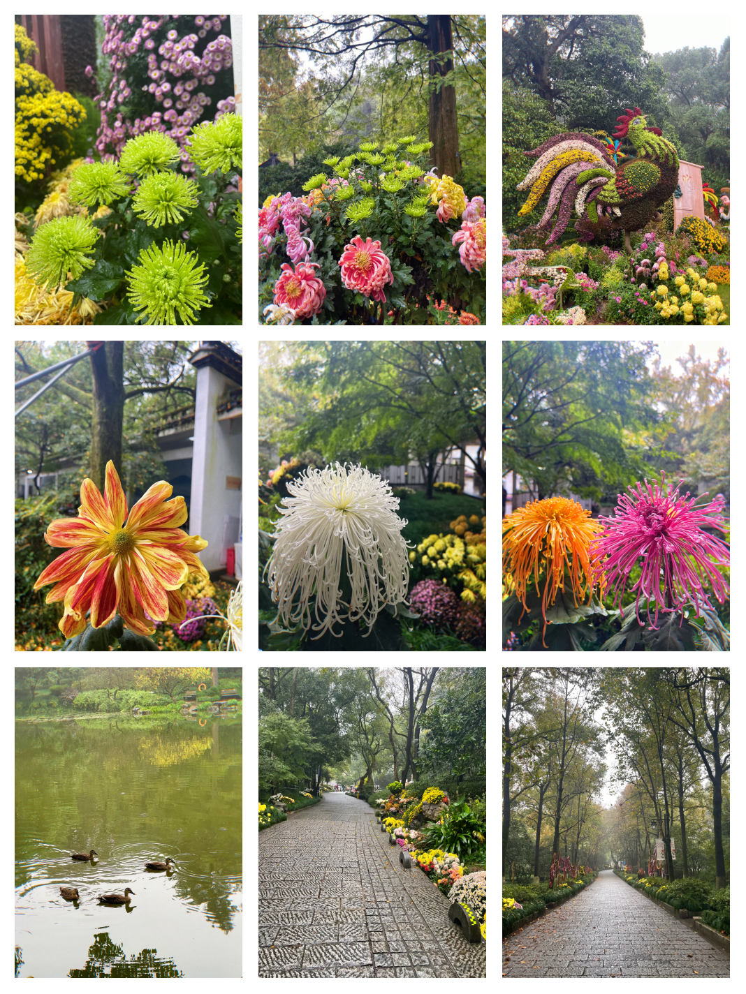 2026植物园项目可行性：门票没涨价，植物园却“爆仓”_人保服务 ,人保财险政银保 