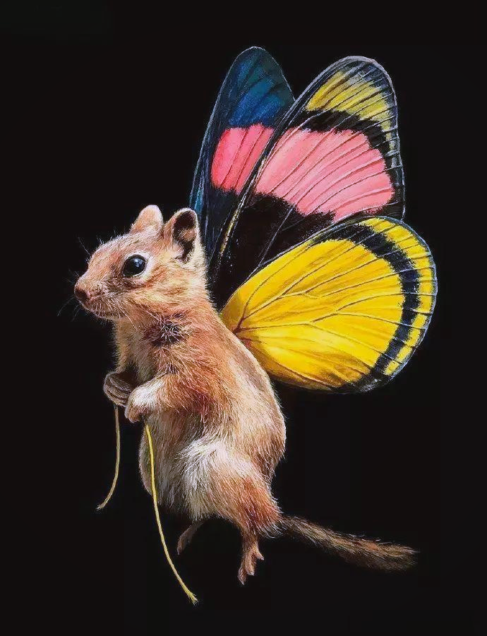 “航空小鼠飞天记”主题科普活动在国家动物博物馆举办