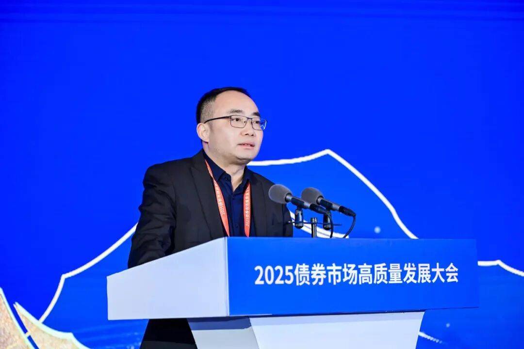 扩容提质、创新开放——2025年中国债券市场全景图
