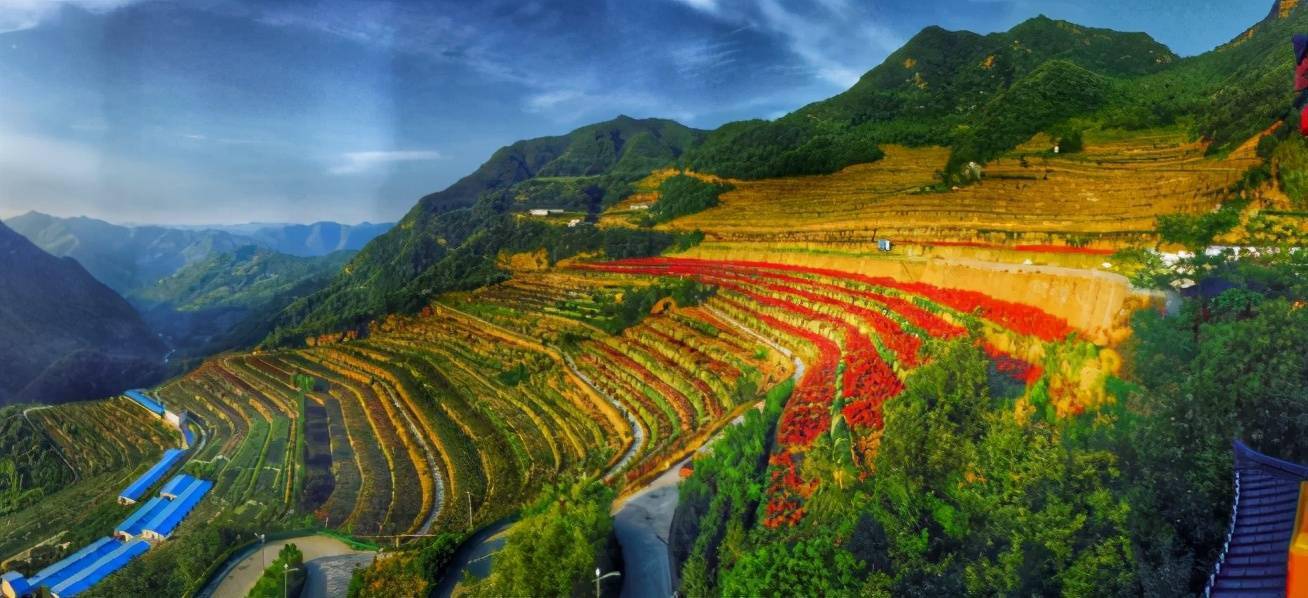 两部门：到2027年知识产权促进光伏产业健康发展取得明显成效