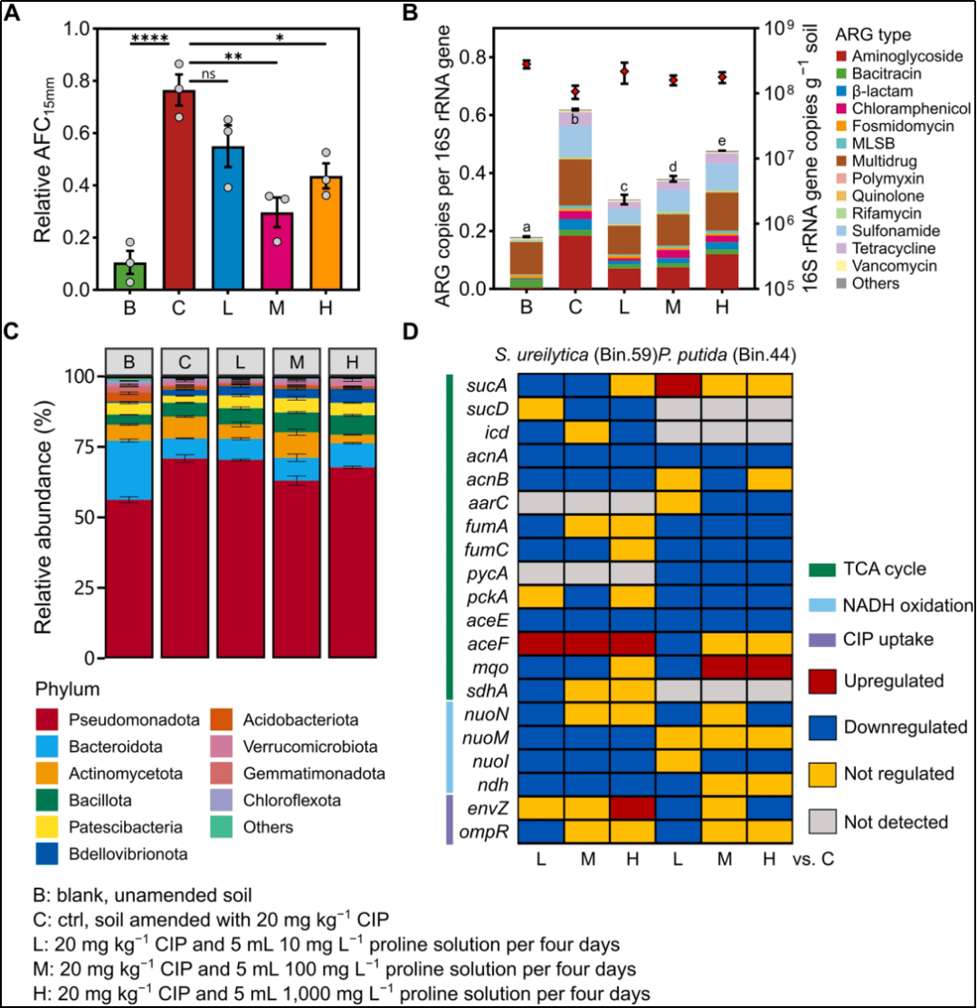 新研究发现细菌在抗生素作用下存活机制