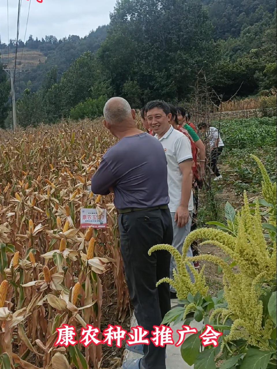 康农种业（837403）：披露业绩快报，2024年盈利8323万元