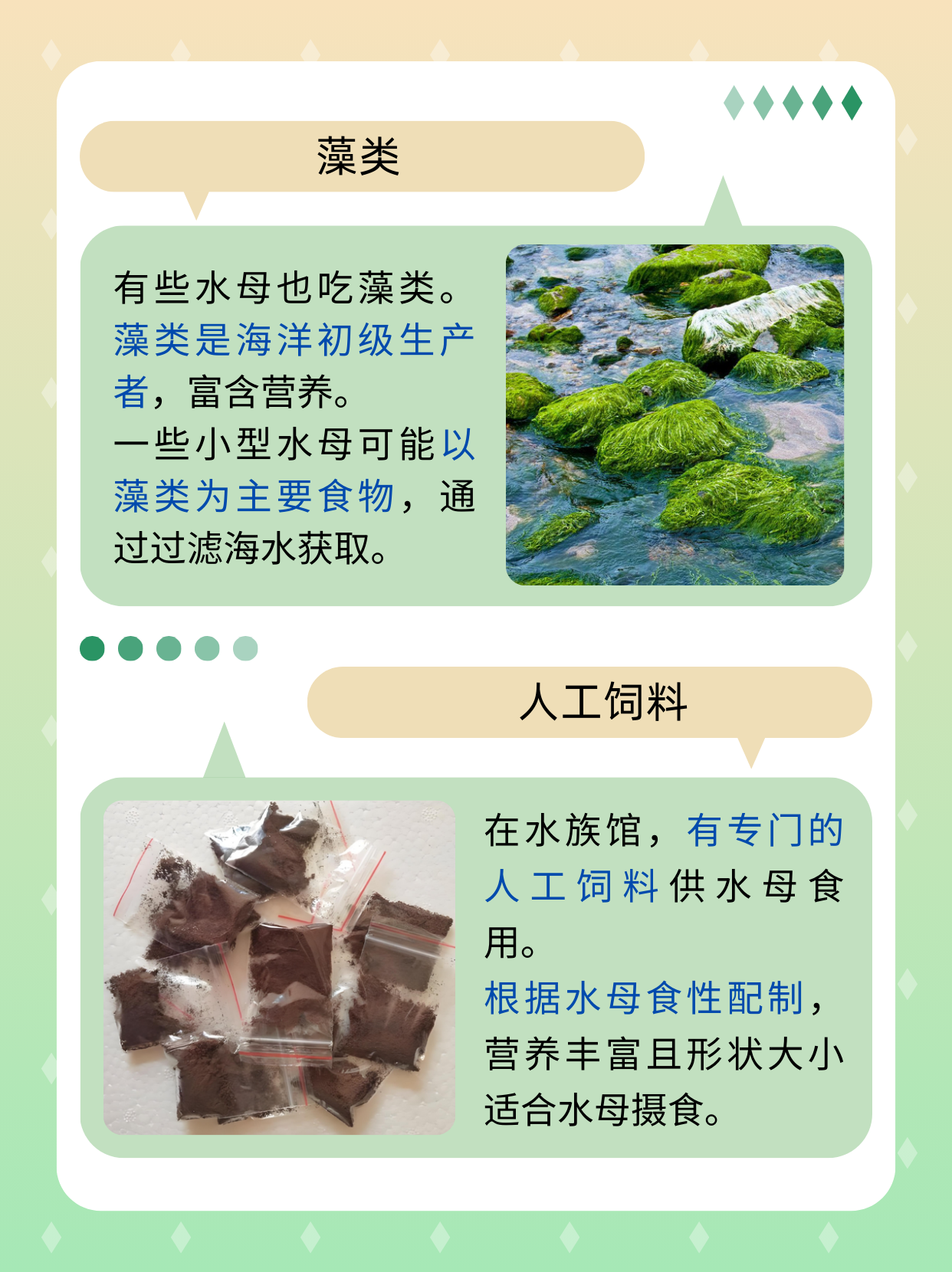 水母研究助力揭示动物睡眠的进化起源