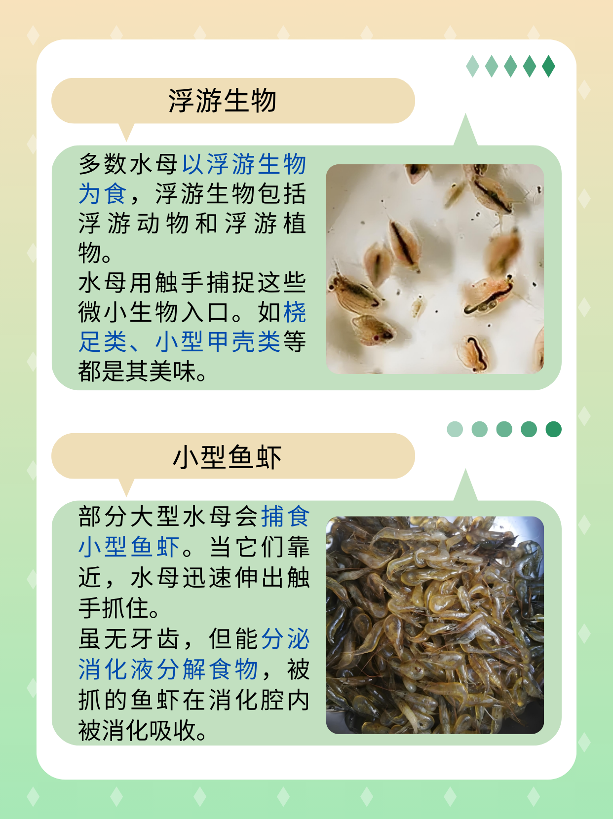 水母研究助力揭示动物睡眠的进化起源