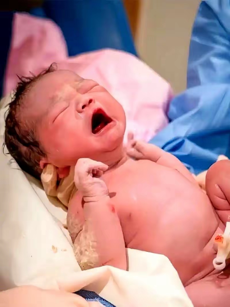 越来越多村社发钱奖励生娃，广东出生人口超沪苏浙之和