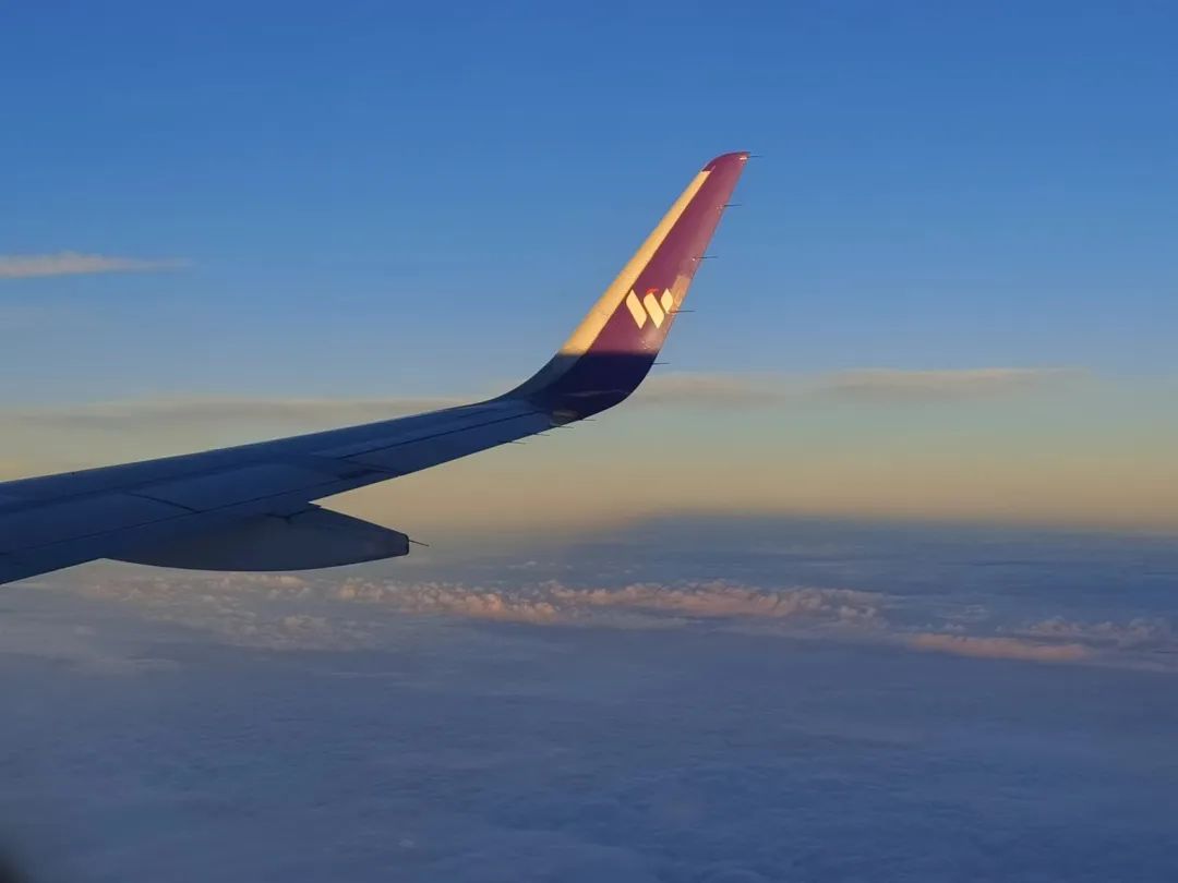 民航局：2026年民航春运旅客运输量有望创新高