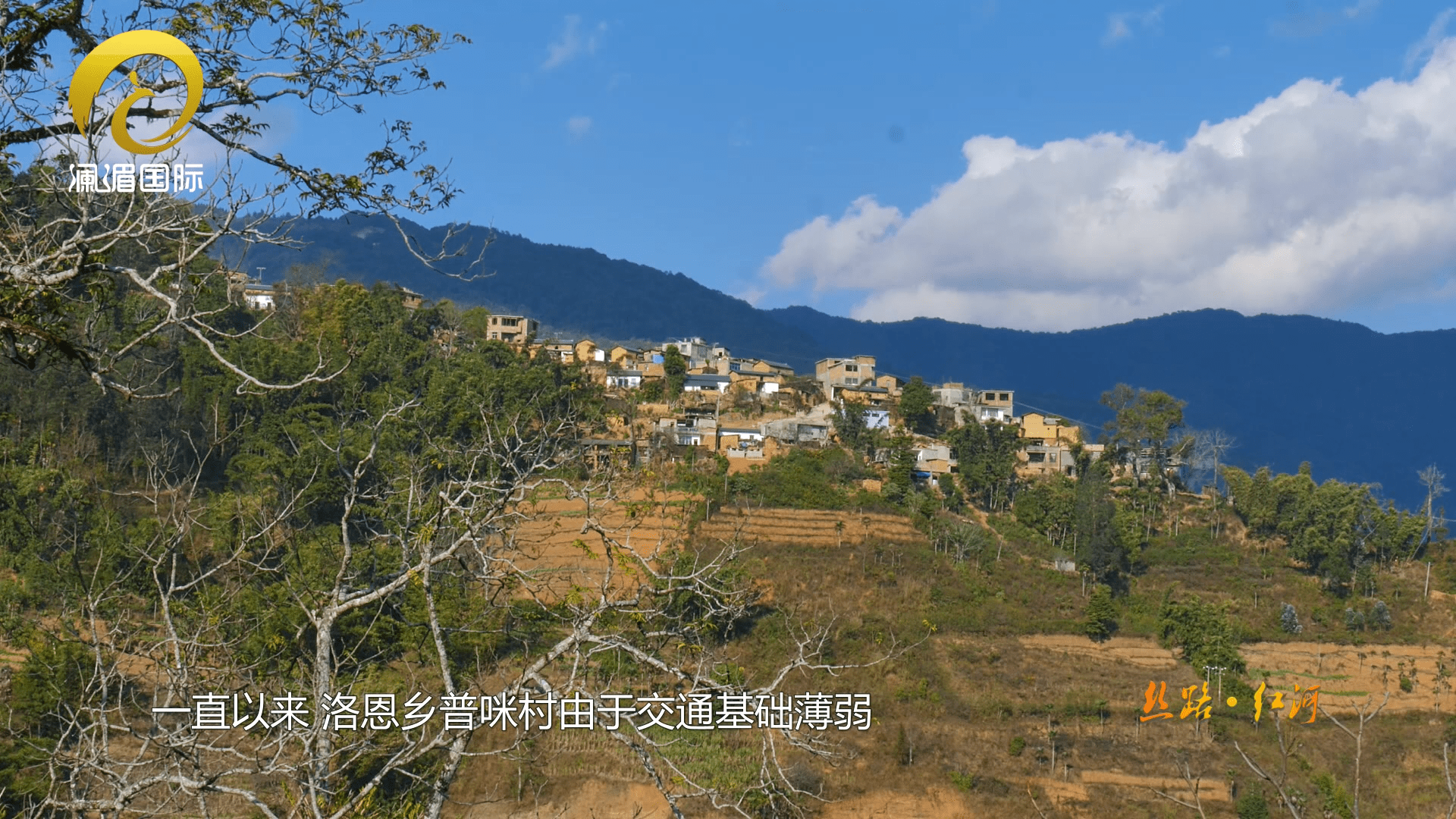 新业务投入持续加大 金百泽“制造+服务+平台”夯实服务产业发展能力基础