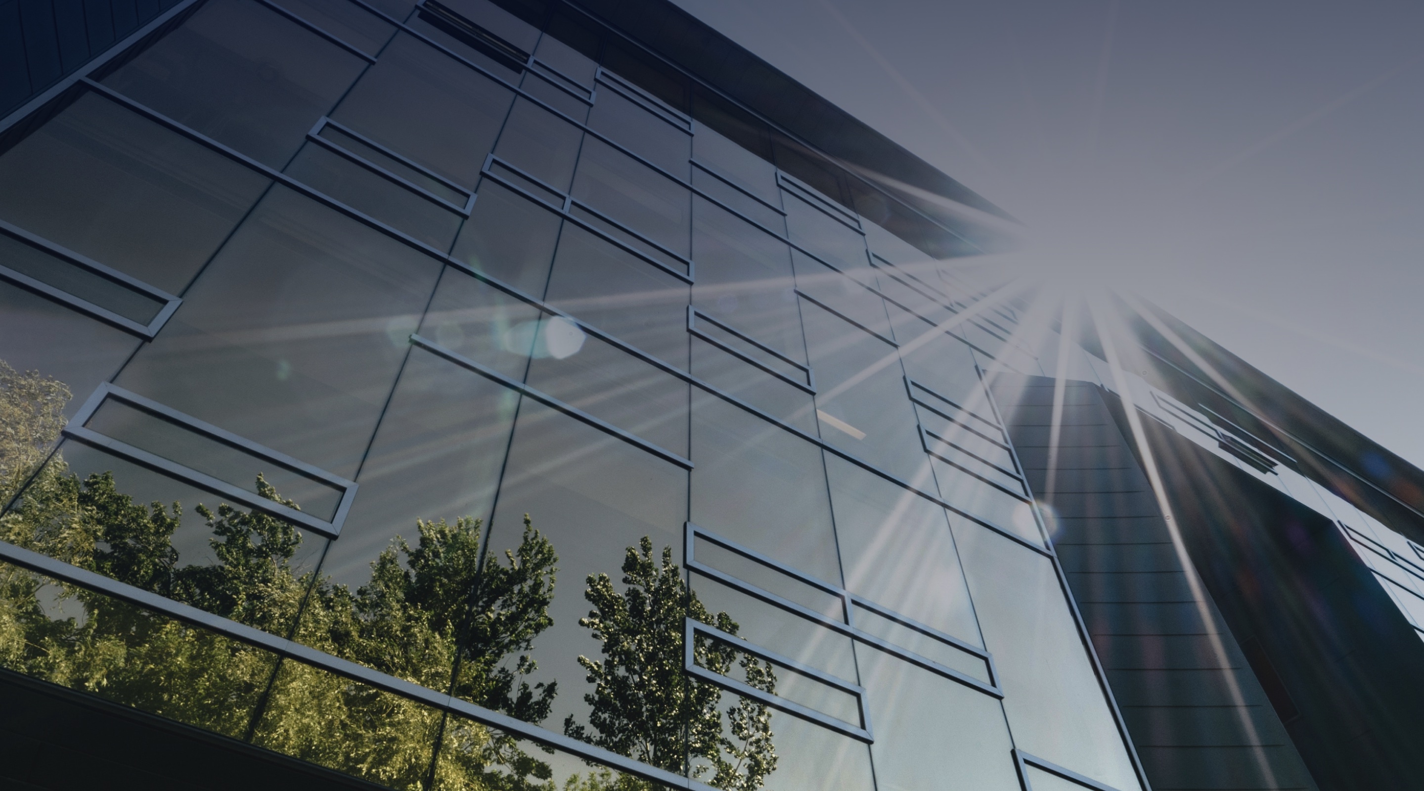 浙大网新:子公司中标广西融资担保集团数据中心项目