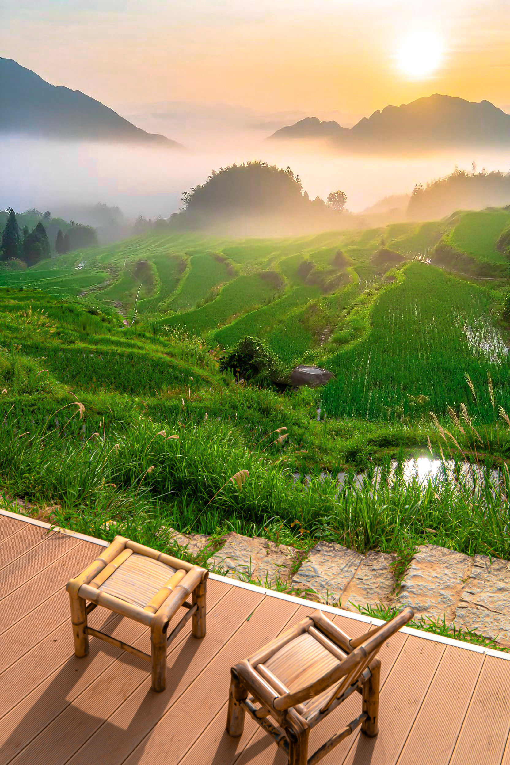 (乡村行・看振兴)浙江遂昌富农联运工程孕育山区“小幸福”与“大希望”