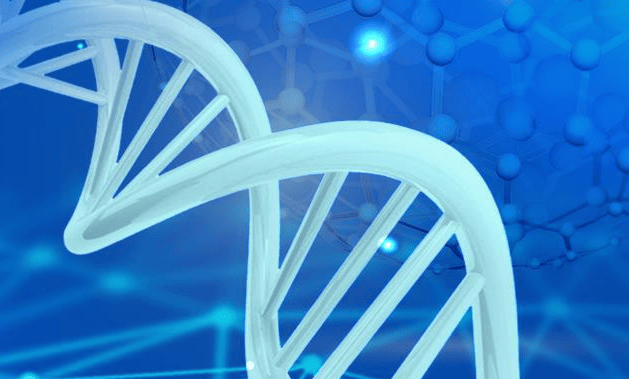 解析伟明环保的出海战略