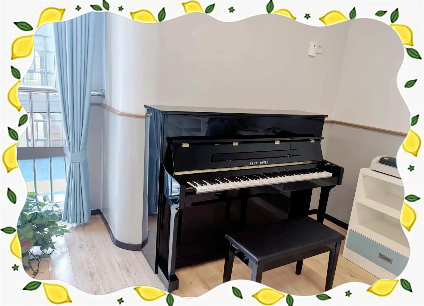 珠江钢琴大宗交易成交2491.51万元