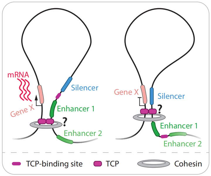 诺禾致源获得发明专利授权：“基因组中保守非编码元件CNEs的鉴定方法及装置”