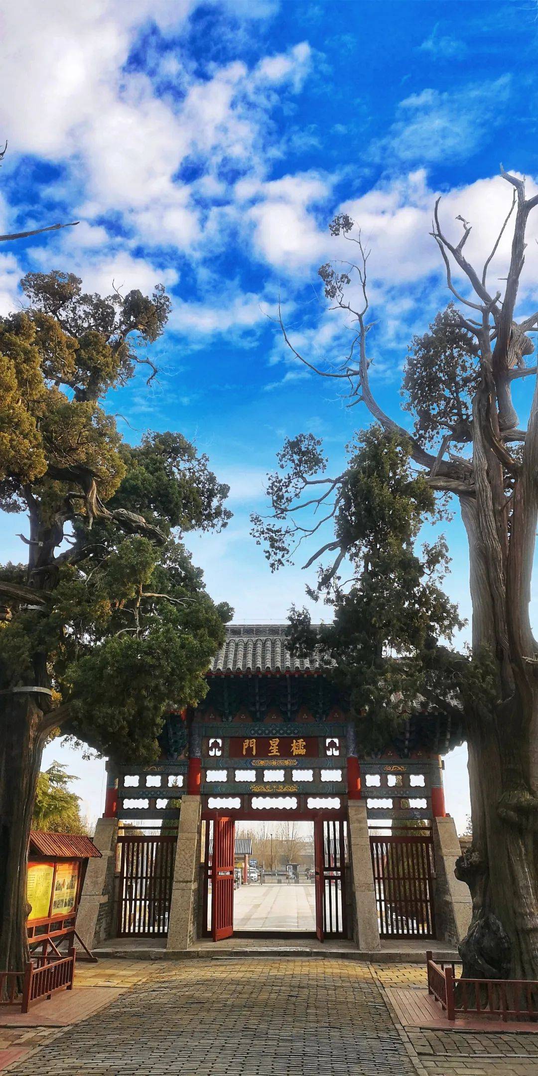 （新春走基层）火花中的百年传奇 孟子故里山东邹城上演震撼“火虎”