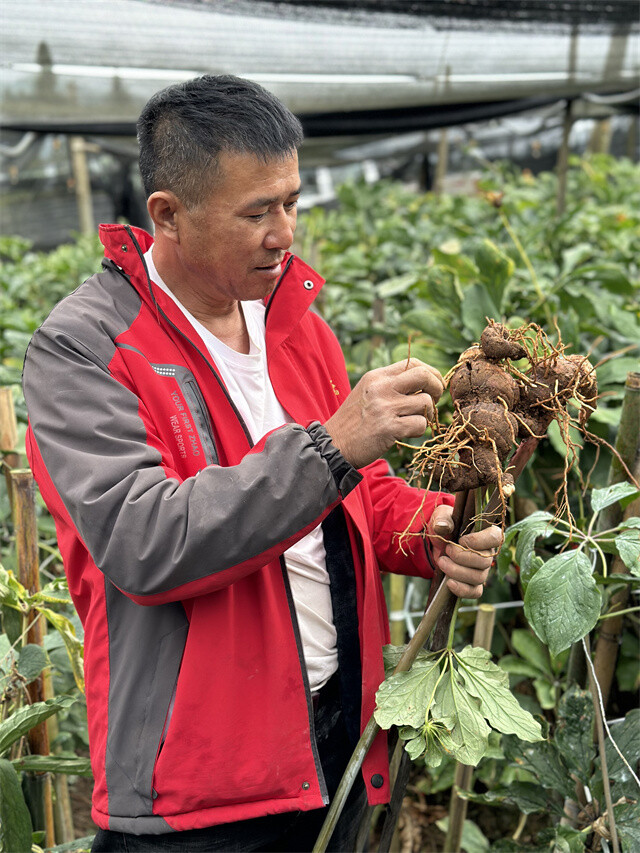 宁夏农产品加工业质效双升 产值突破千亿元