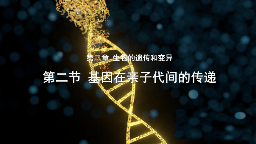 新技术可长时间“监控”细胞的基因活动
