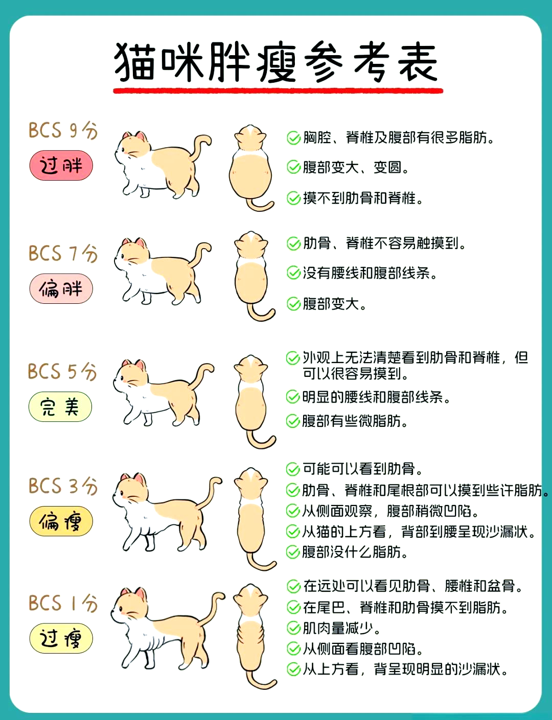 科普|薛定谔猫又“变胖”了