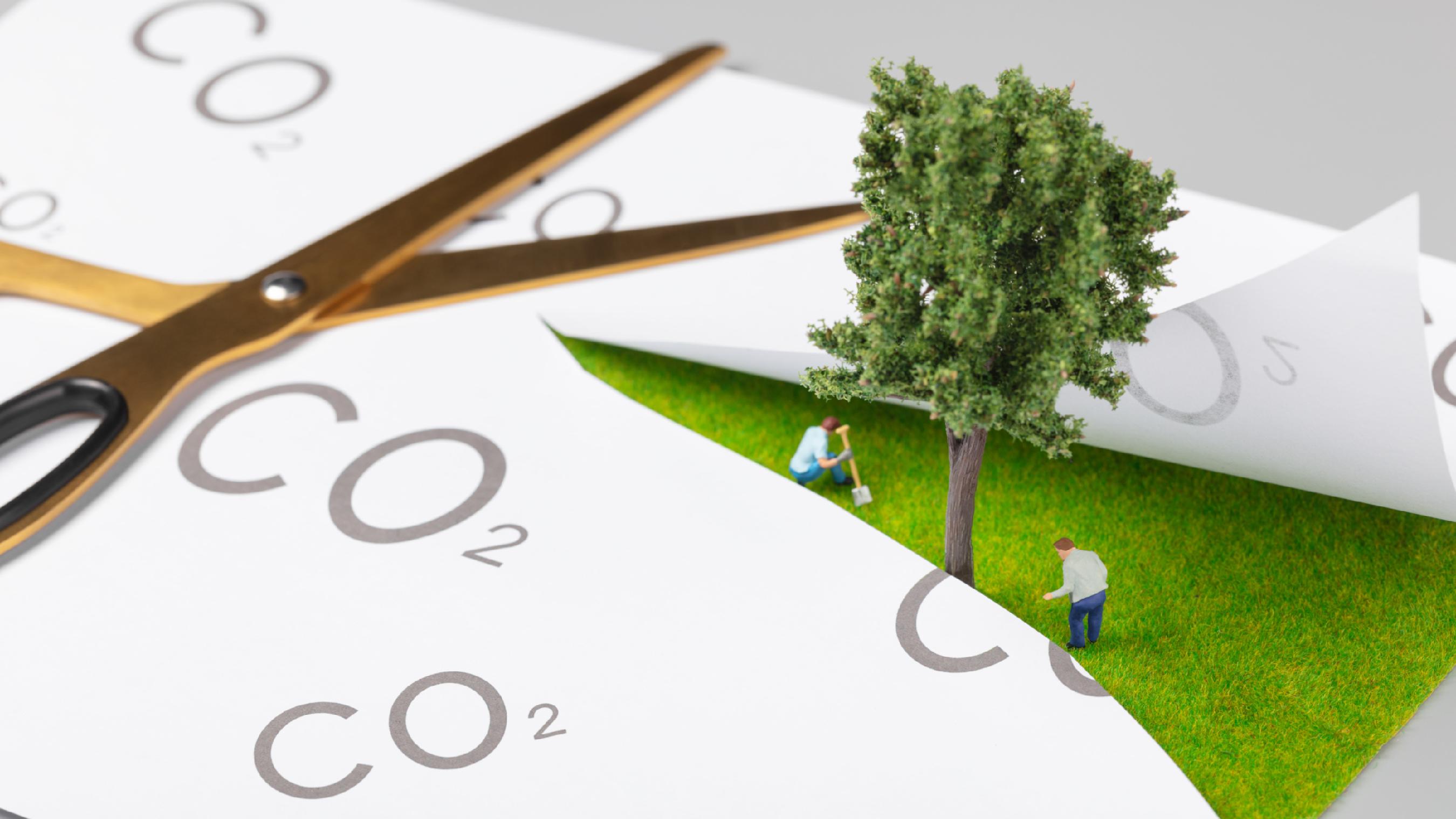 数据显示我国经济社会绿色转型加速推进