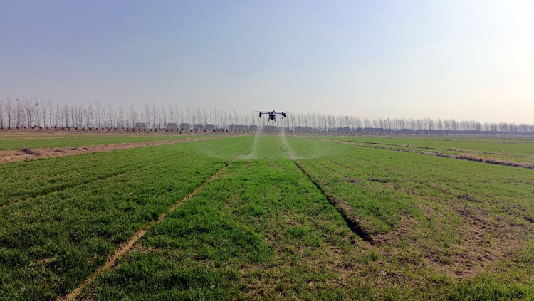 钱江水利获得发明专利授权：“一种高效碳源及其制备方法和应用”