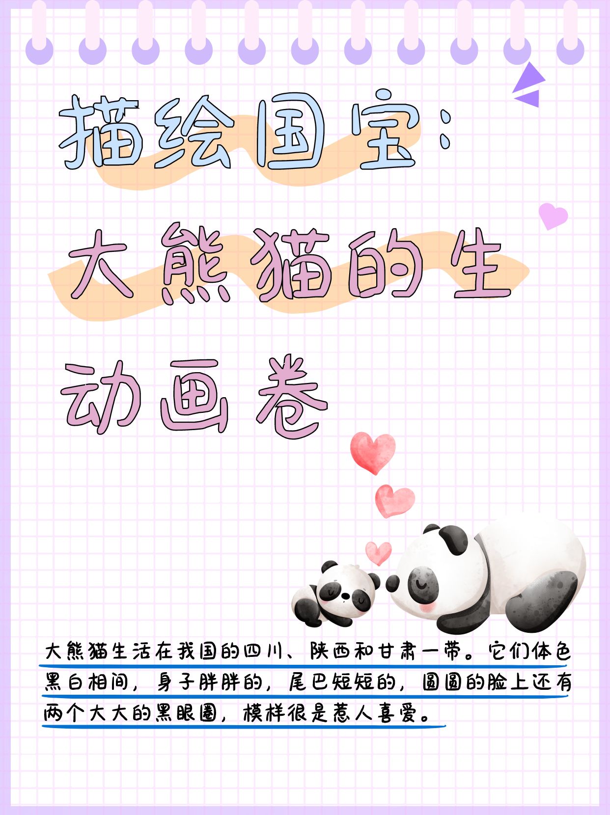 （新春见闻）秦岭深处的“熊猫管家”：我陪“国宝”过春节