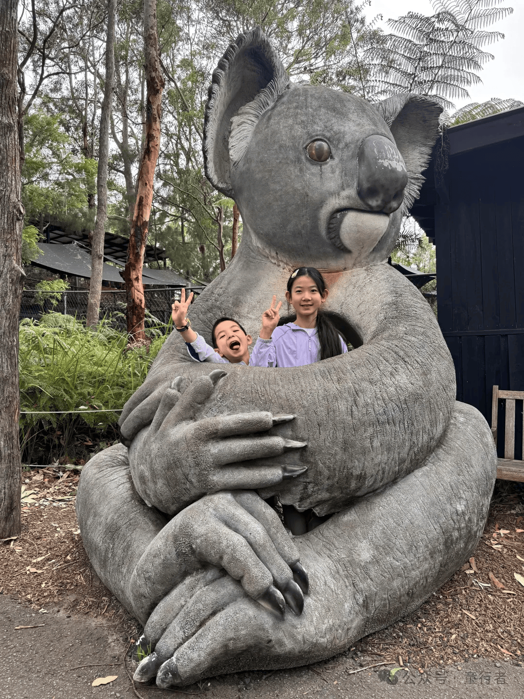 澳大利亚大熊猫饲养员：“星秋”和“怡兰”是我们的家人