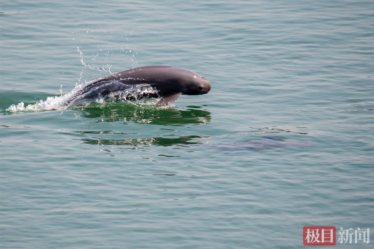 （新春走基层）湖北宜昌：“水上春运”有智慧、有温度