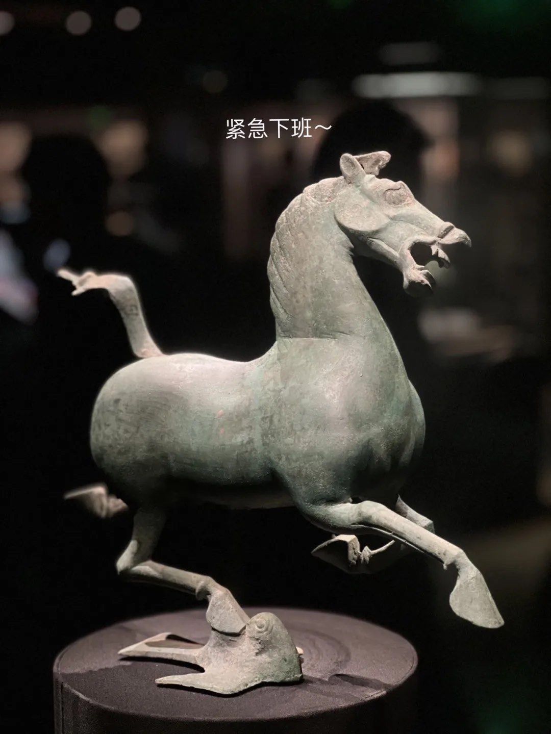 （新春见闻）马年春节中国多地博物馆迎来“探骏”热