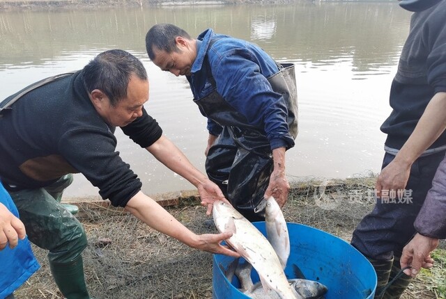 （新春走基层）广东河源2万人共赴捕鱼节贺新春