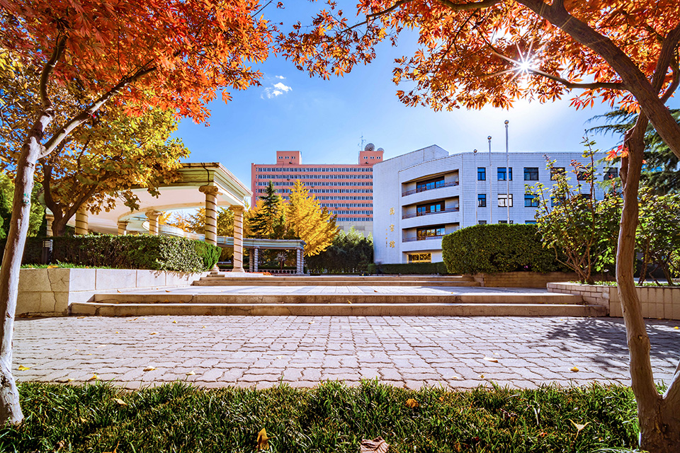 中国石化获得发明专利授权：“一种地面微地震事件信号增强方法”