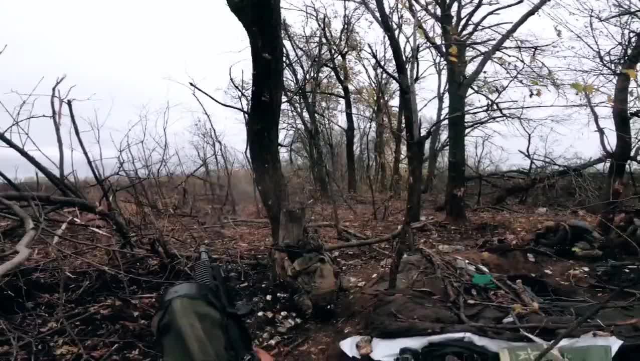 伊朗当地华侨华人:本地通信服务中断 空气中有硫磺味