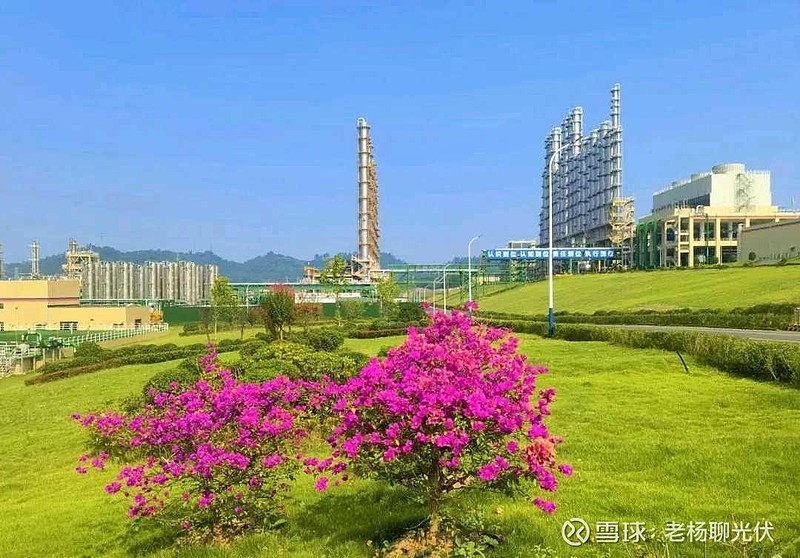 全国人大代表、隆基绿能董事长钟宝申:坚持高标准引领 破解光伏行业“内卷式”竞争