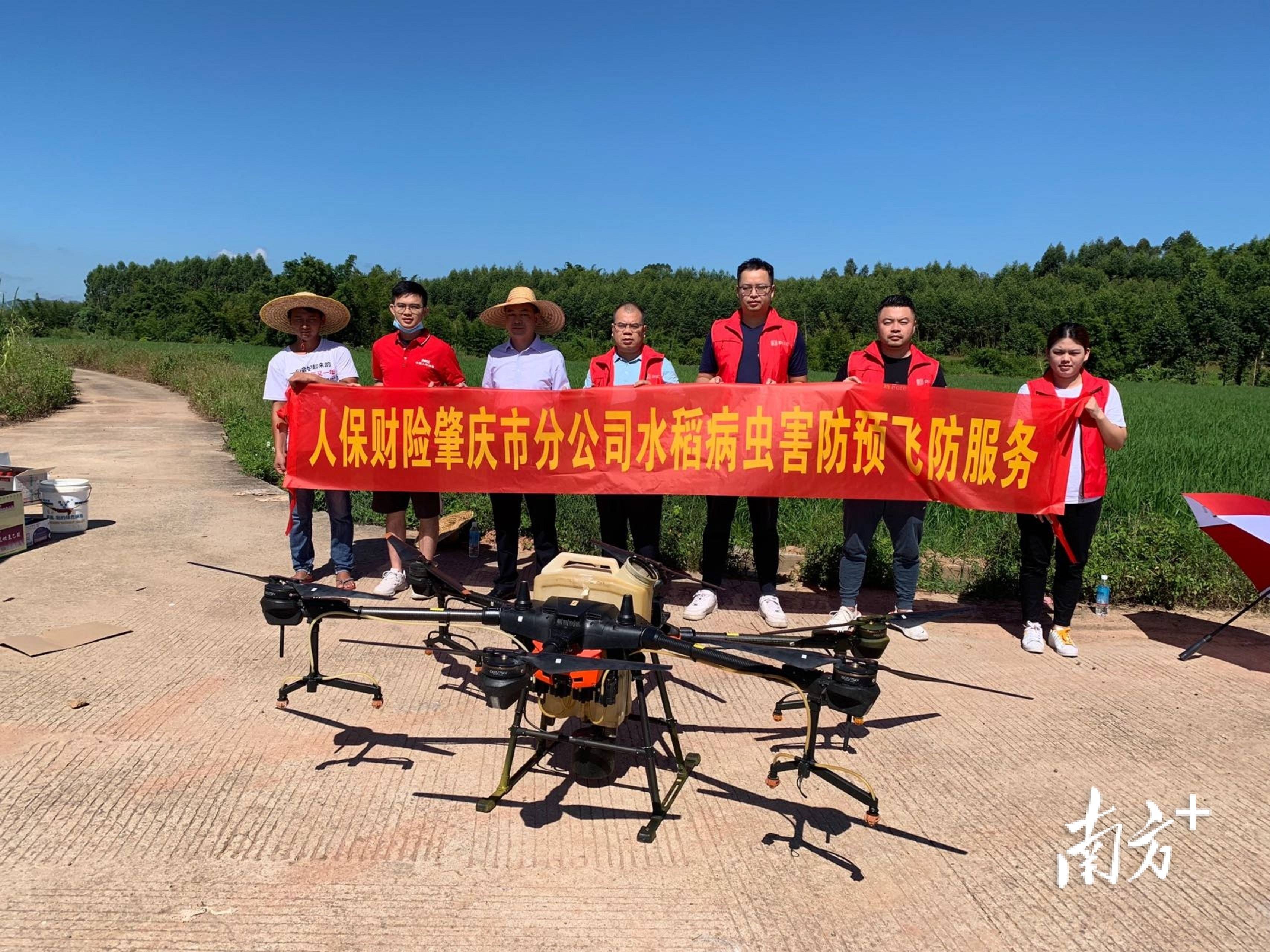 轻量化革命：2026年中国GFRP横向板簧行业全景洞察与投资战略解码_人保服务,人保财险 