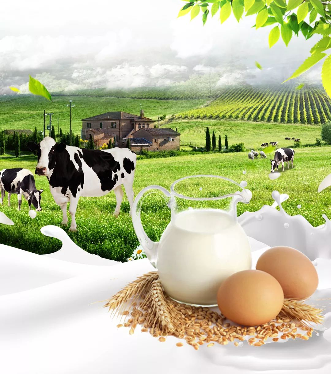 全国人大代表、安琪集团董事长熊涛:拓展微生物蛋白食品领域应用空间